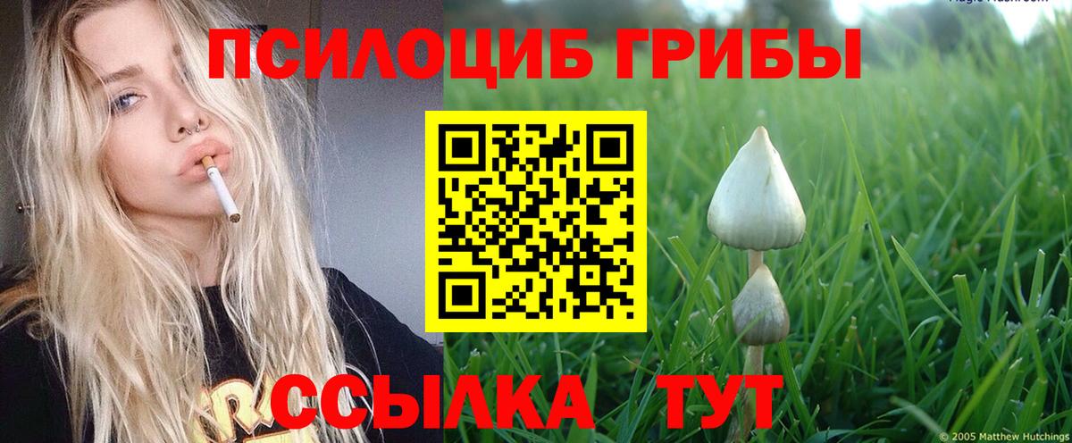 Псилоцибиновые грибы ЛСД  закладка  Псилоцибиновые грибы мицелий  Щёлково  Вход с VPN 